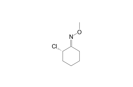 2(E)-CHLOROCYCLOHEXANONE-O-METHYL-OXIME