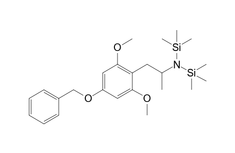 Psi-MBNM 2TMS