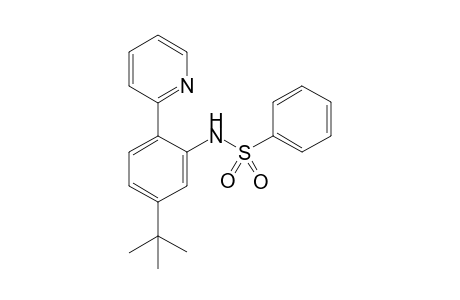 N-(5-tert-butyl-2-(pyridin-2-yl)phenyl)benzenesulfonamide