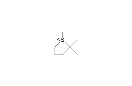 1,2,2-Trimethyl-tetrahydrothiophenium cation