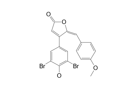 RUBROLIDE_P