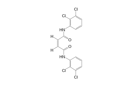 2',2'',3',3''-TETRACHLOROMALEANILIDE