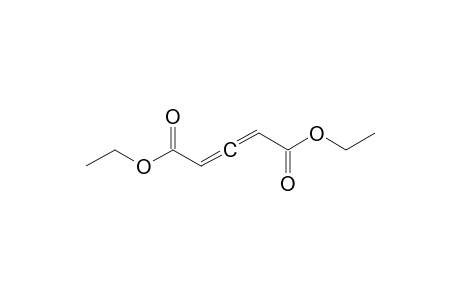Diethyl penta-2,3-dienedioate