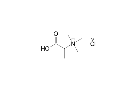 (S)-(1-carboxyethyl)trimethylammonium chloride