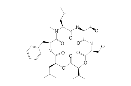 HIRSUTATIN_A