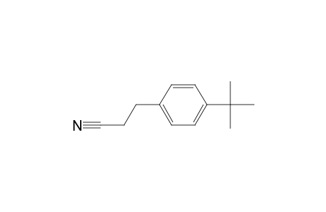 3-(4-tert-butylphenyl)propanenitrile