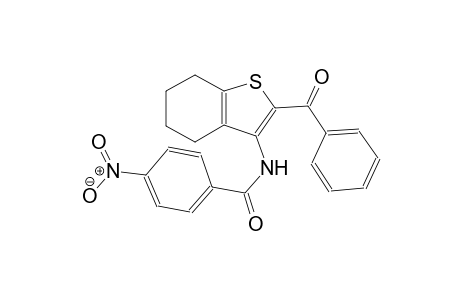 benzamide, N-(2-benzoyl-4,5,6,7-tetrahydrobenzo[b]thien-3-yl)-4-nitro-
