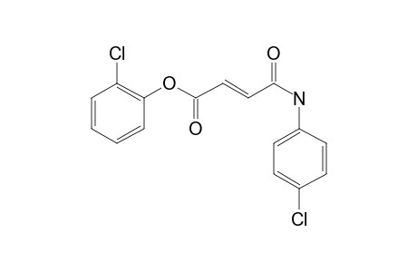 Fumaric acid, monoamide, N-(4-chlorophenyl)-, 2-chlorophenyl ester