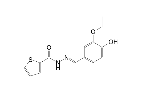 N'-[(E)-(3-ethoxy-4-hydroxyphenyl)methylidene]-2-thiophenecarbohydrazide