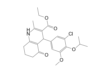 ethyl 4-(3-chloro-4-isopropoxy-5-methoxyphenyl)-2-methyl-5-oxo-1,4,5,6,7,8-hexahydro-3-quinolinecarboxylate