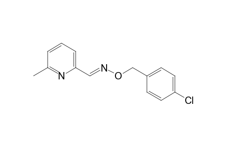 6-methylpicolinaldehyde, O-(p-chlorobenzyl)oxime