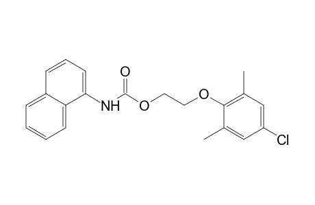 1-naphthalenecarbamic acid, 2-(4-chloro-2,6-xylyoxy)ethyl ester