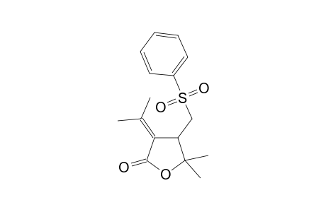 4-(benzenesulfonylmethyl)-3-isopropylidene-5,5-dimethyl-tetrahydrofuran-2-one
