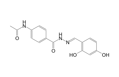 benzoic acid, 4-(acetylamino)-, 2-[(E)-(2,4-dihydroxyphenyl)methylidene]hydrazide