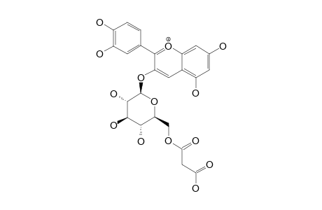 CYANIDIN-3-O-(6''-O-MALONYL-BETA-GLUCOPYRANOSIDE)
