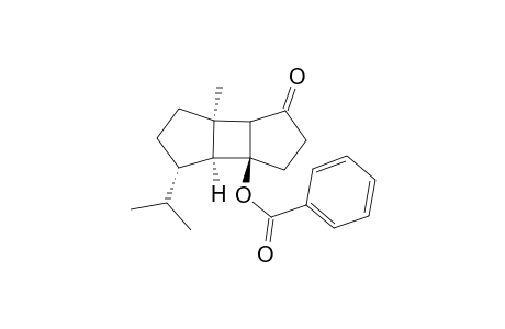 (1R,2R,6S,7S,8S)-6-(Benzoyloxy)-8-isopropyl-7-methylTricyclo[5.3.0.0(2,6)]-3-decanone