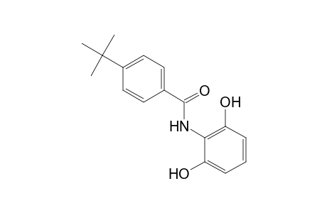 Benzamide, N-(2,6-dihydroxyphenyl)-4-(1,1-dimethylethyl)-