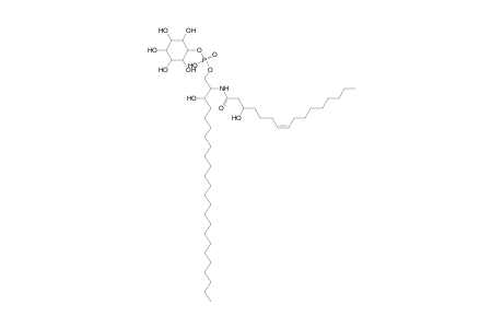 PI-Cer 24:0;2O/16:1;O