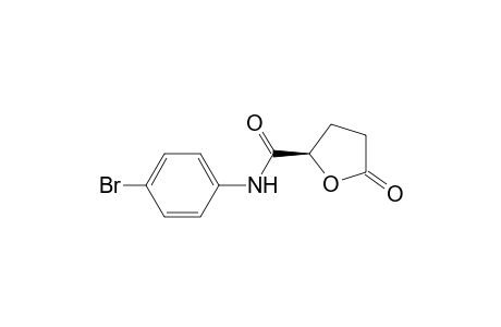 2-Furancarboxamide, N-(4-bromophenyl)tetrahydro-5-oxo-, (S)-