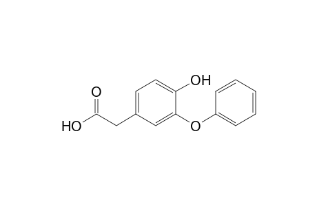 3-Phenoxy-4-hydroxyphenylacet8ic acid