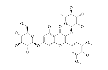 SYRINGETIN-3-O-ALPHA-L-RHAMNOPYRANOSYL-7-O-BETA-GLUCOPYRANOSIDE