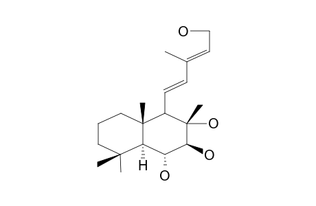 STEREBIN E