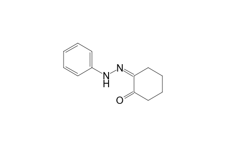 (2Z)-2-(phenylhydrazinylidene)-1-cyclohexanone