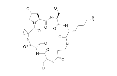 SERINOCYCLIN_B;CYCLO-(ACC-HYP-SER-1-LYS-BETA-ALA-SER-2-SER-3)