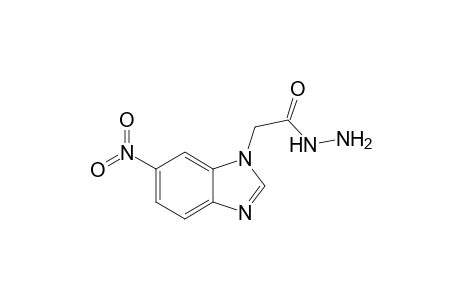 6-Nitrobenzimidazole-1-acetic acid hydrazide