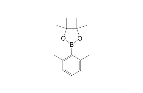 2,6-ME(2)-C6H3-B-(O2C2ME4)