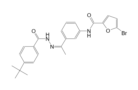 5-bromo-N-{3-[(1Z)-N-(4-tert-butylbenzoyl)ethanehydrazonoyl]phenyl}-2-furamide