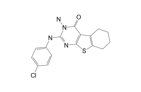 3-AMINO-2-(4-CHLOROPHENYL)-AMINO-5,6,7,8-TETRAHYDRO-3H-BENZO-[4,5]-THIENO-[2,3-D]-PYRIMIDIN-4-ONE