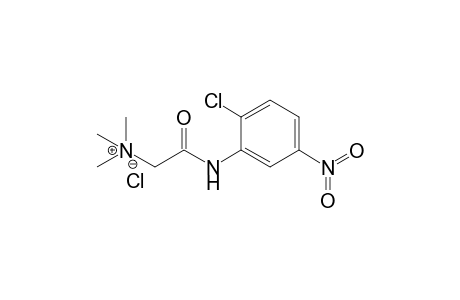 [(2-Chloro-5-nitrophenyl)carbamoylmethyl]trimethylammonium chloride