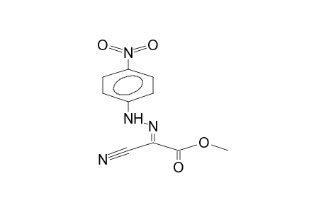 METHYL (E)-2-(4-NITROPHENYL)HYDRAZONO-3-CYANOACETATE