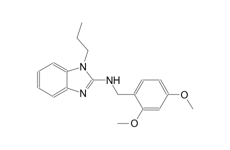 N-(2,4-dimethoxybenzyl)-1-propyl-1H-benzimidazol-2-amine