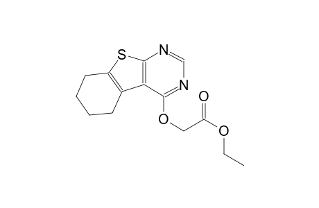 ethyl (5,6,7,8-tetrahydro[1]benzothieno[2,3-d]pyrimidin-4-yloxy)acetate