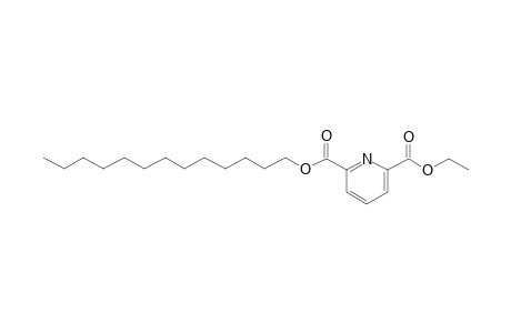 2,6-Pyridinedicarboxylic acid, ethyl tridecyl ester