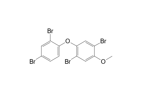 1,4-Dibromo-2-(2,4-dibromophenoxy)-5-methoxy-benzene