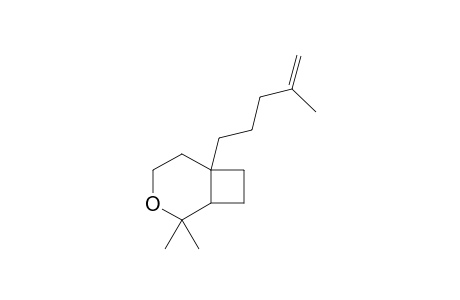 2,2-Dimethyl-6-(4-methylpent-4-en-1-yl)-3-oxabicyclo[4.2.0]octane