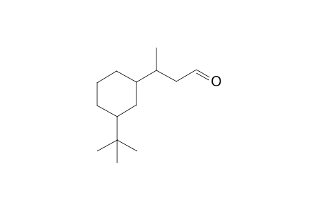 3-(3-tert-butylcyclohexyl)butanal