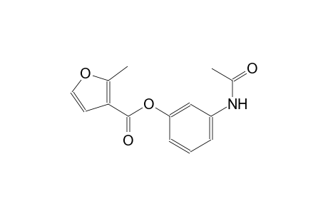 3-(acetylamino)phenyl 2-methyl-3-furoate