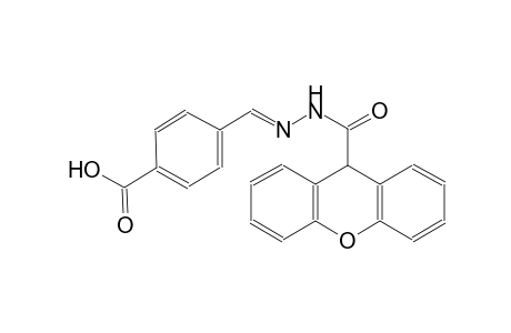 4-{(E)-[(9H-xanthen-9-ylcarbonyl)hydrazono]methyl}benzoic acid