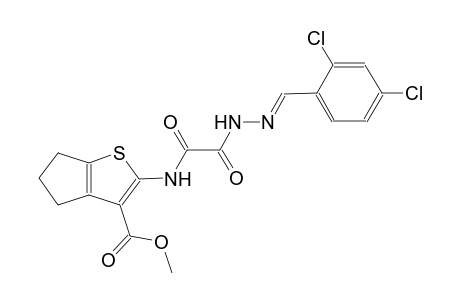 methyl 2-{[[(2E)-2-(2,4-dichlorobenzylidene)hydrazino](oxo)acetyl]amino}-5,6-dihydro-4H-cyclopenta[b]thiophene-3-carboxylate