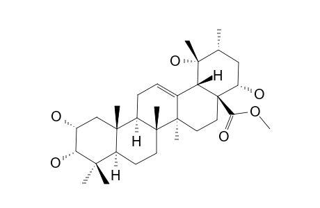 METHYL-MUSANGICATE;METHYL-2-ALPHA,3-ALPHA,19-ALPHA,22-ALPHA-TETRAHYDROXY-URS-12-EN-28-OATE