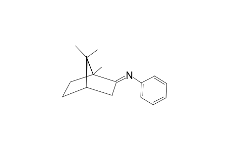 2-PHENYLIMINO-BORNANE