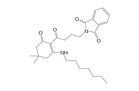 2-[4-[2-(heptylamino)-4,4-dimethyl-6-oxidanylidene-cyclohexen-1-yl]-4-oxidanylidene-butyl]isoindole-1,3-dione
