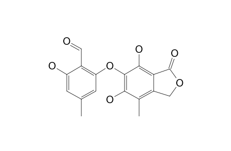 PHOMOPSIDE-B