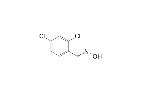 Benzaldehyde, 2,4-dichloro-, oxime,