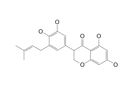 BOLUSANTHOL-B;5,7,3',4'-TETRAHYDROXY-5'-GAMMA,GAMMA-DIMETHYLALLYLISOFLAVANONE