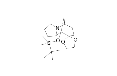 1-(tert-Butyldimethylsilyloxy)-10-(ethylidenedioxy)-6-azabtricyclo[5.3.1.0(2,6)]undecane